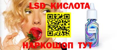 стаф Донецк