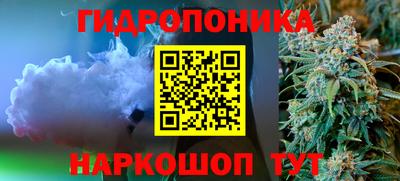 стаф Донецк