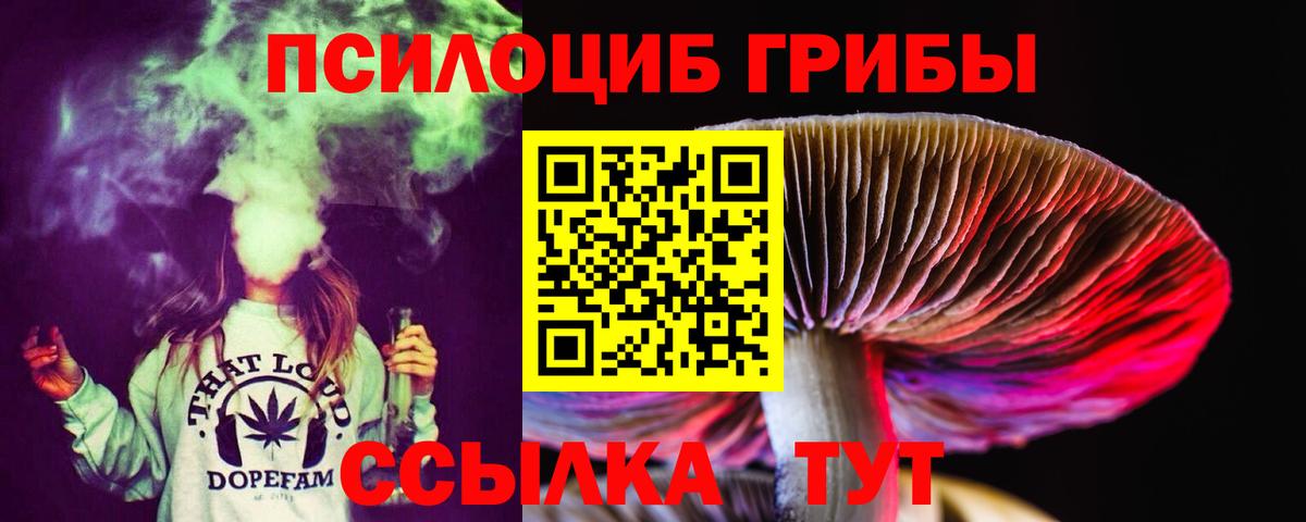 Псилоцибиновые грибы мицелий  Вход с VPN  Галлюциногенные грибы мухоморы  Обнинск 